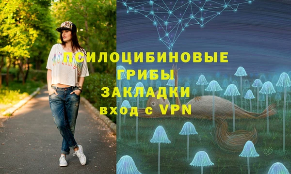 ПСИЛОЦИБИНОВЫЕ ГРИБЫ Зерноград