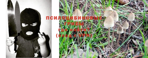 2c-b Зеленодольск