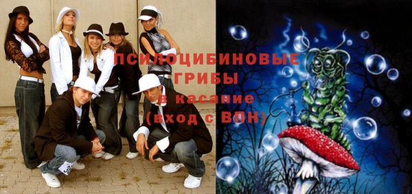 2c-b Зеленодольск