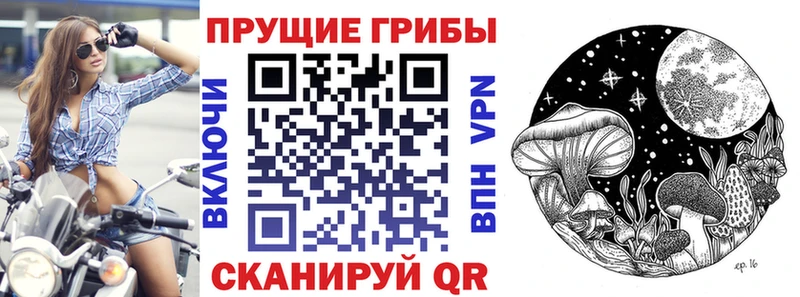 Псилоцибиновые грибы мицелий  Купить  Джанкой 